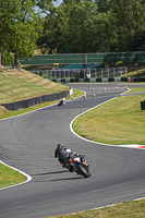 Advanced Group Orange Bikes